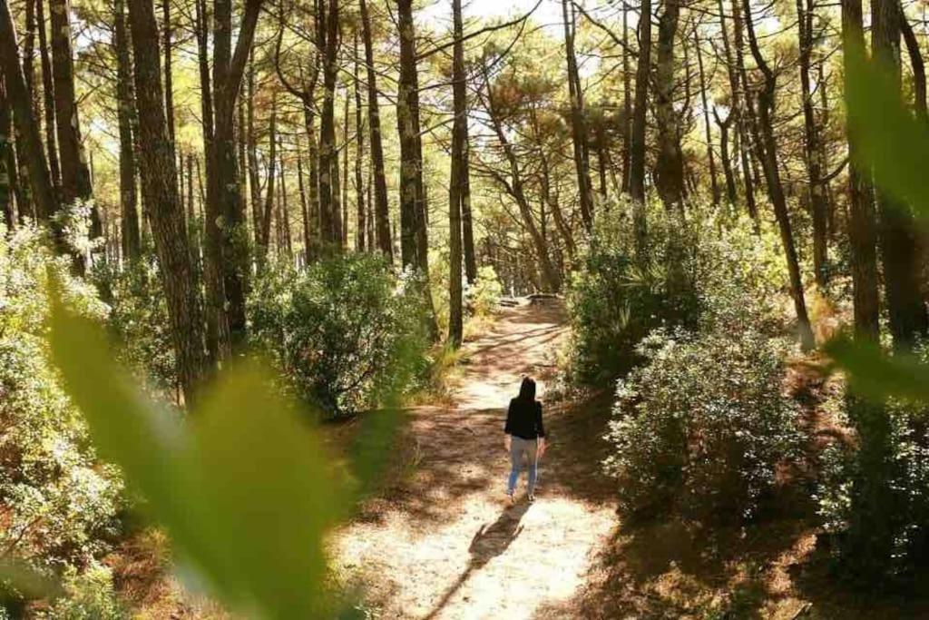Chez Floflo Villa Rion-Des-Landes Екстериор снимка